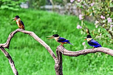 《王者荣耀》关羽骑摩托皮肤被举报 网友恶搞P头盔